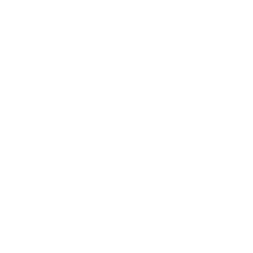 500+ 5 Star Reviews